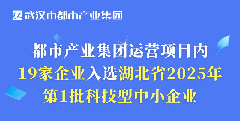 都市產(chǎn)業(yè)集團(tuán)運(yùn)營(yíng)項(xiàng)目?jī)?nèi)19家企業(yè)入選湖北省2025年第1批科技型中小企業(yè)